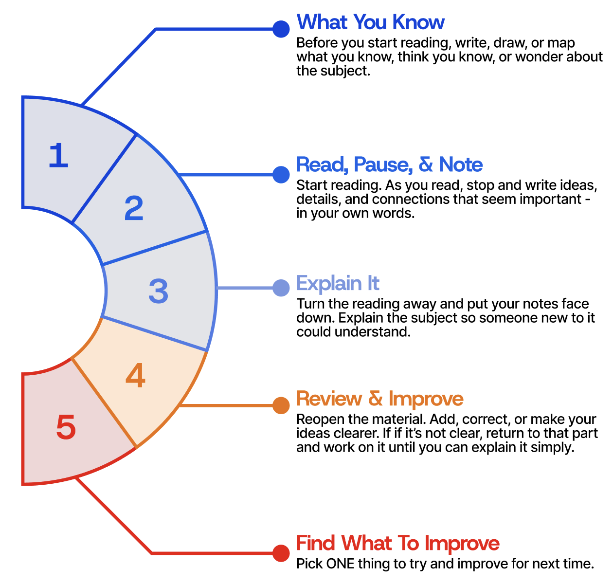 Learning Loop showing What You Know, Read, Pause and Note, Explain It, Review and Improve, and Find What to Improve.